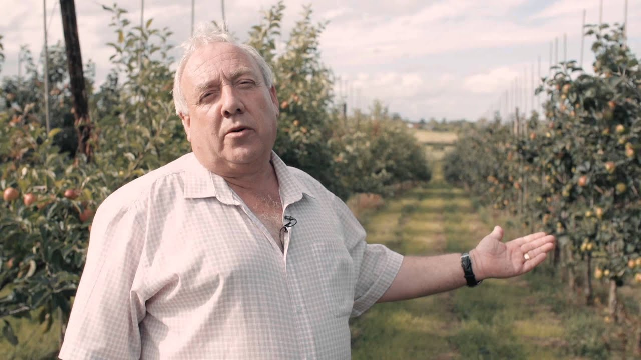 Joe Garvey in the orchard at Macha's Orchard, Portadown
